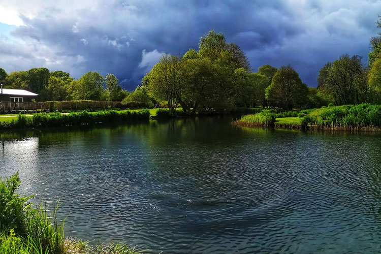 Rockbourne Trout Fishery