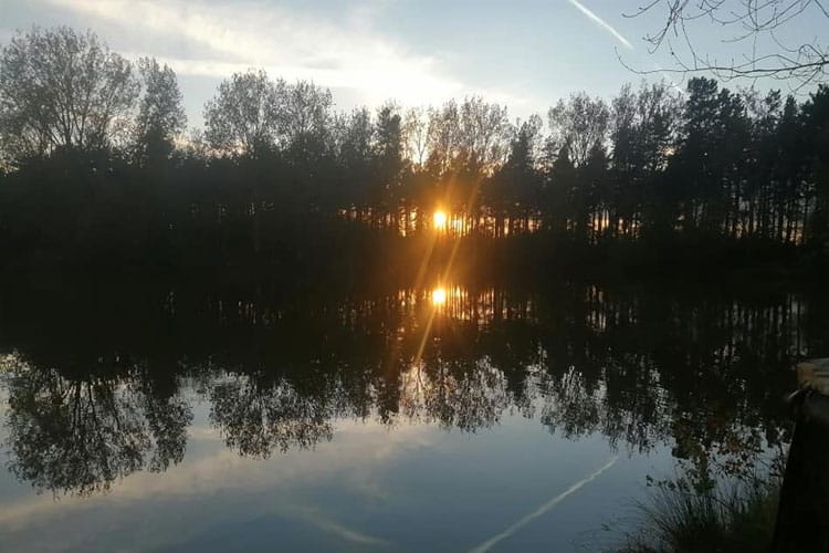 Lovells Carp Lakes, Market Deeping | Fishery Guide