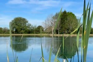 hastings fishing trips